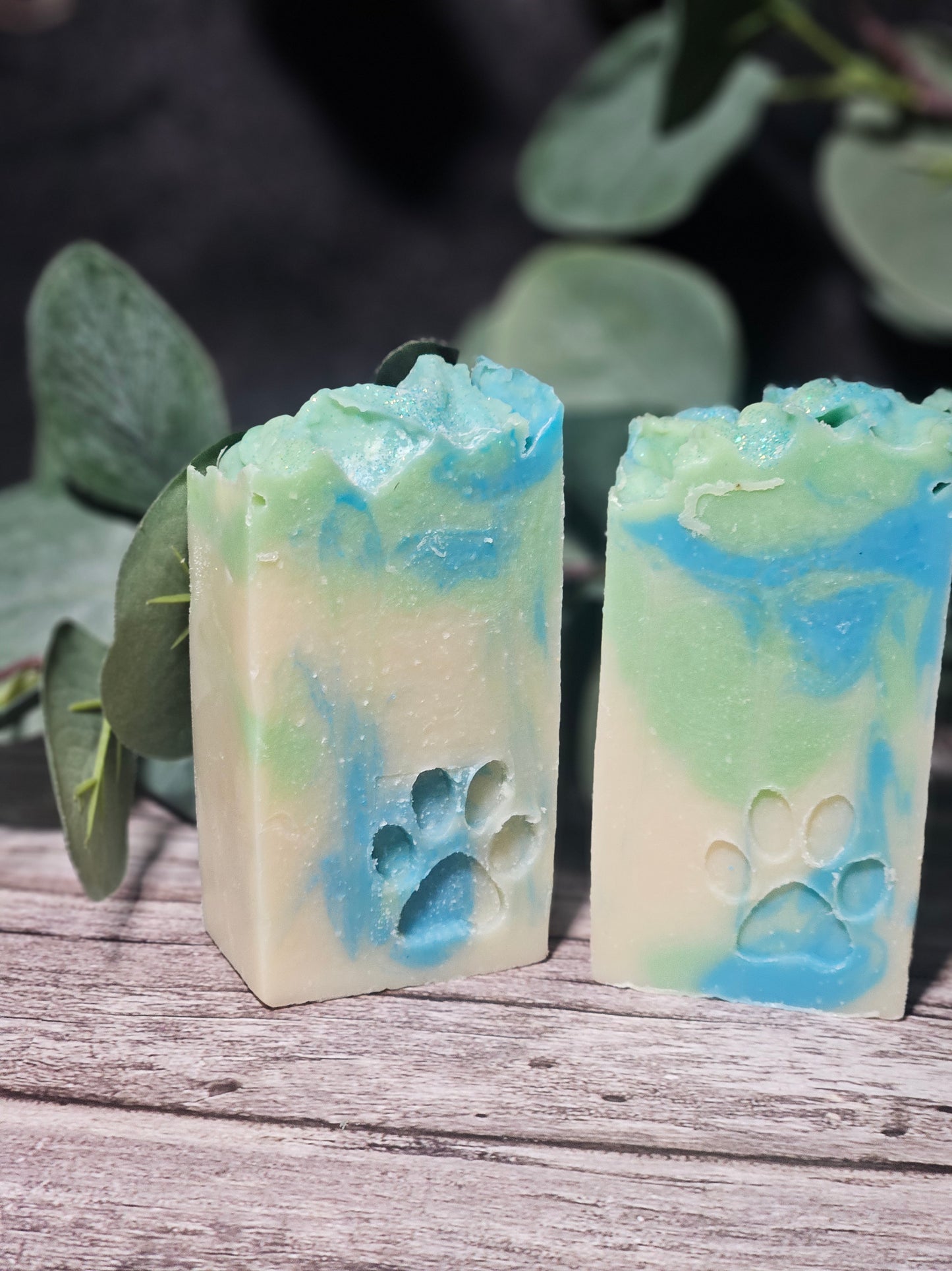 Bar Soap Eucalyptus Mint